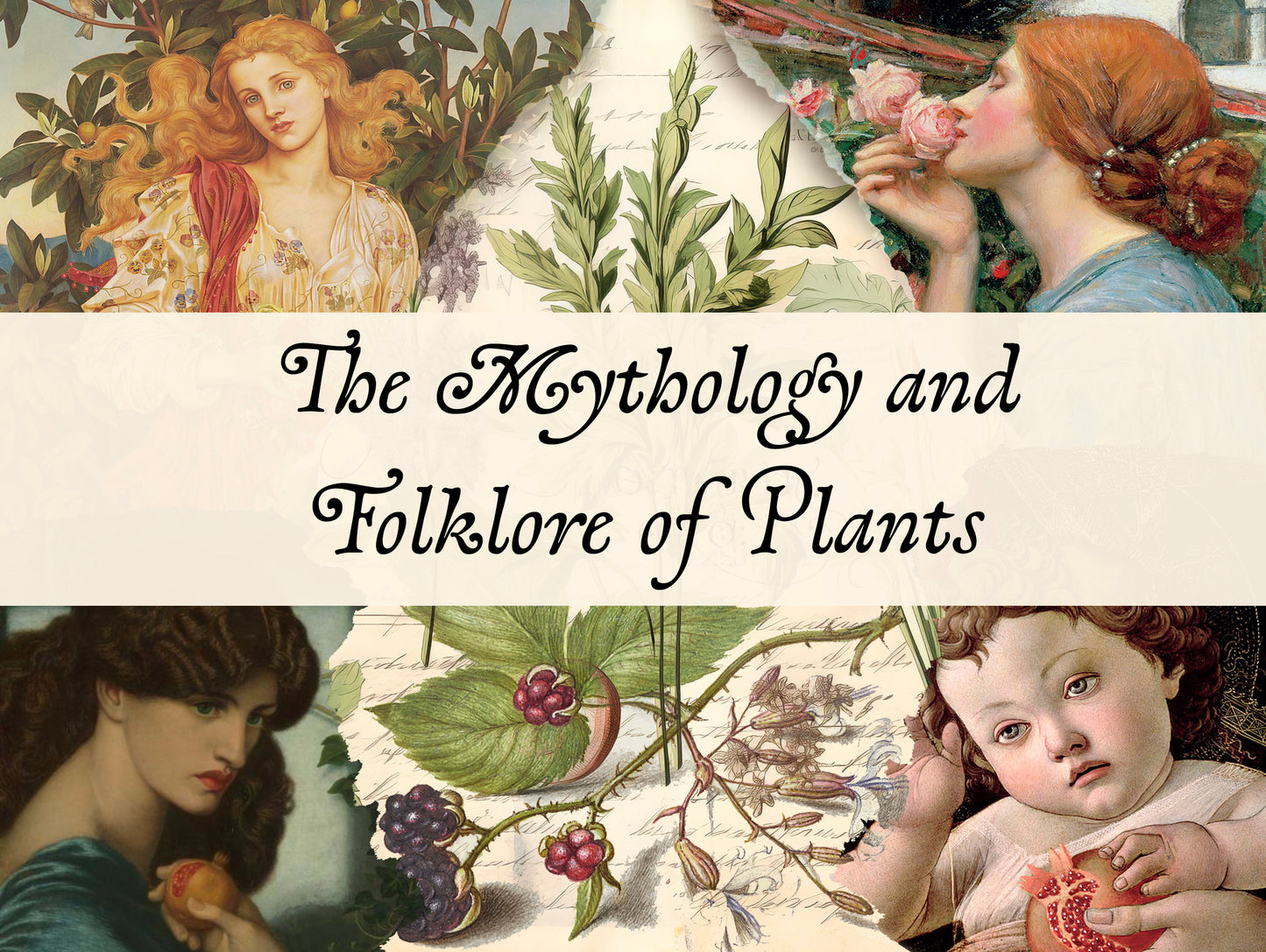 The History and Folklore of Plants