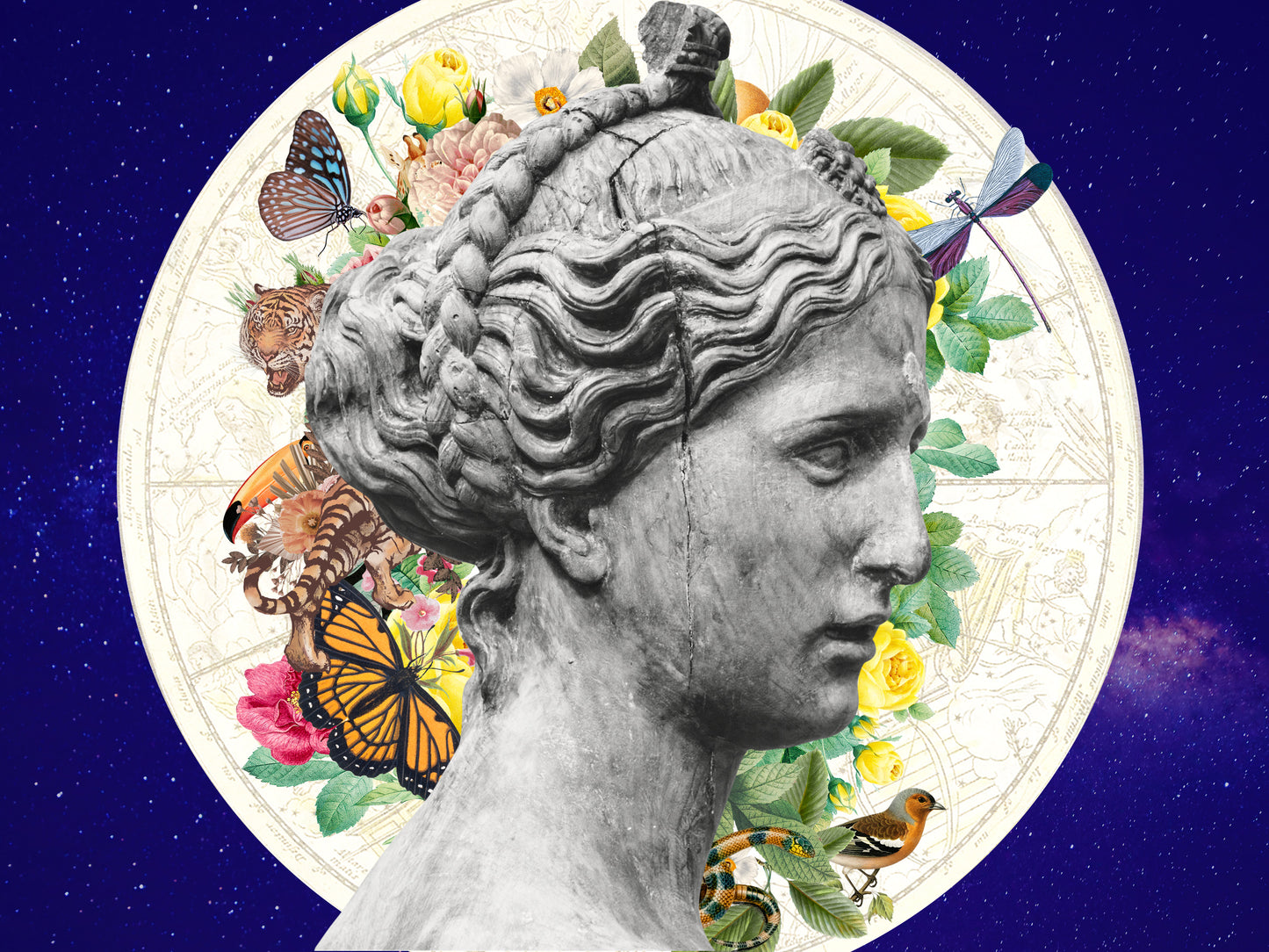 Spiritual Archetypes Course