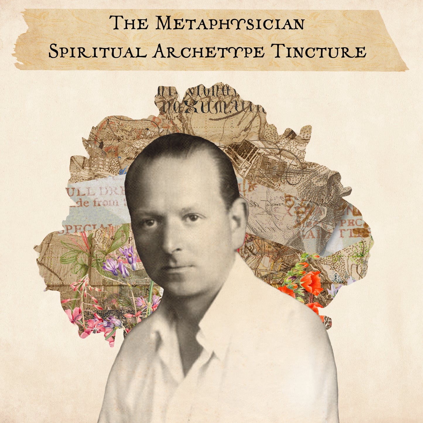 The Metaphysician Spiritual Archetype Tincture