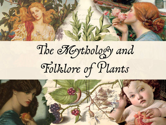 The History and Folklore of Plants