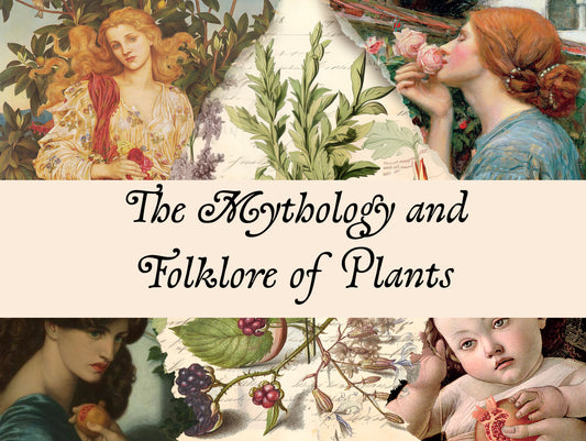 The History and Folklore of Plants